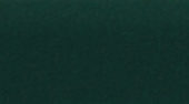 13 Zielony
