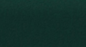 113 Zielony