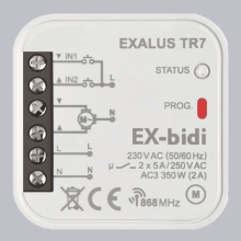 EX-BIDI