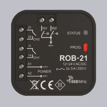 ROB-21
